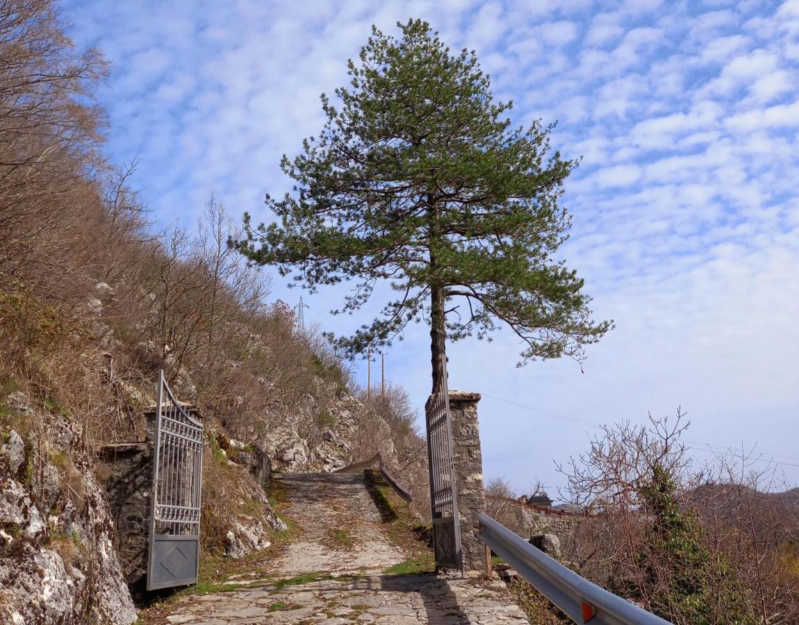 Konak Ugnji-Village Цетине Екстериор снимка