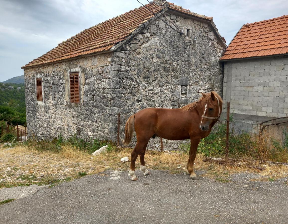 Konak Ugnji-Village Цетине Екстериор снимка