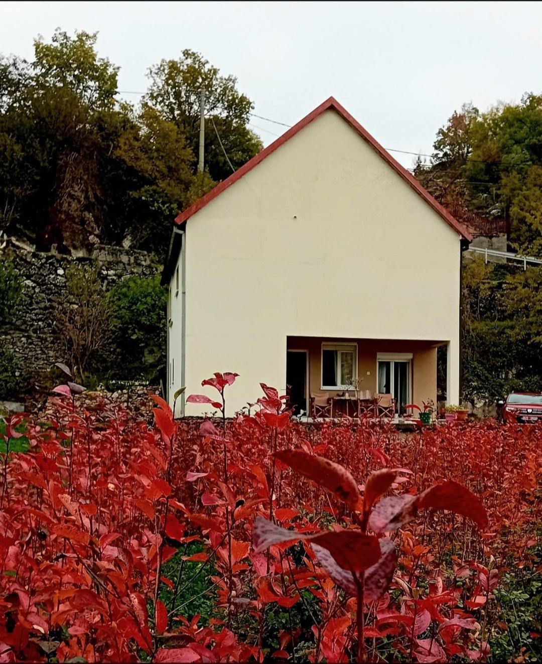 Konak Ugnji-Village Цетине Екстериор снимка